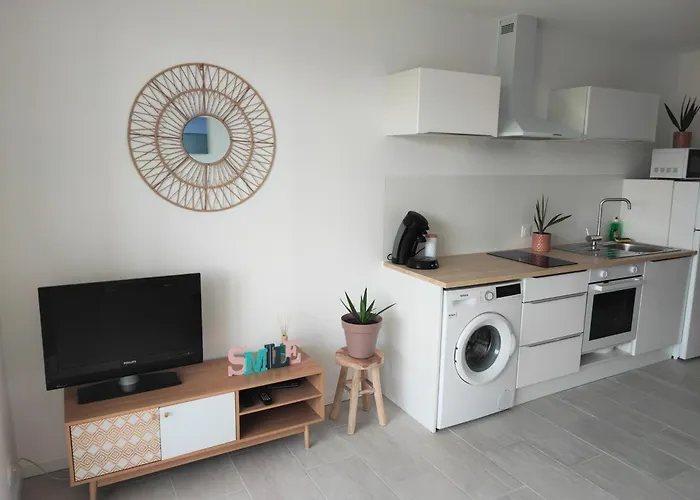 Appartement T2 Neuf Vue Mer En Bord De Mer